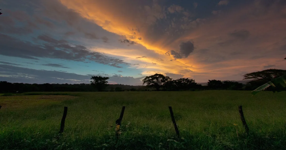 Unsealed road through plantation land on Efate, Vanuatu